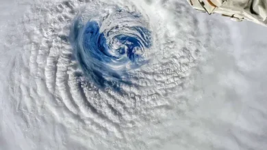 Cyclone Freddy