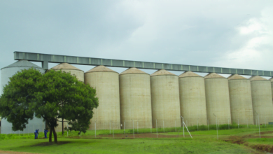 GMB Chegutu depot