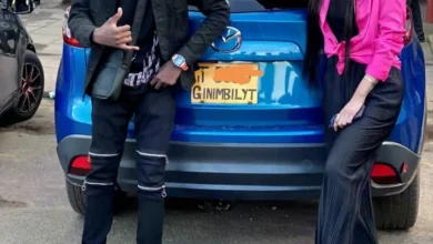 Ginimbilite and Shashl