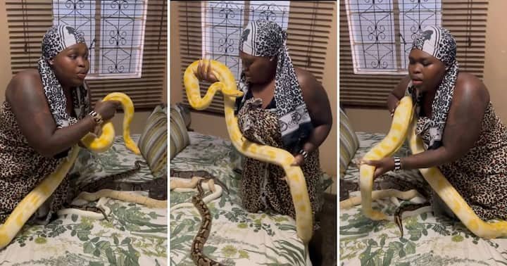 Gogo Maweni