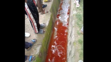 blood