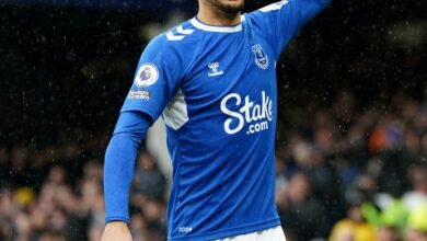 Everton 1 - 0 Brentford
