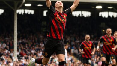 Fulham 1 - 2 Manchester City