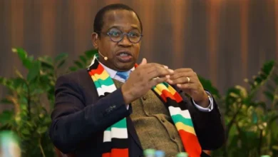 Mthuli-Ncube