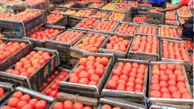 open-market