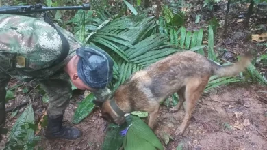 Colombia plane crash