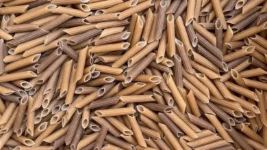 pasta
