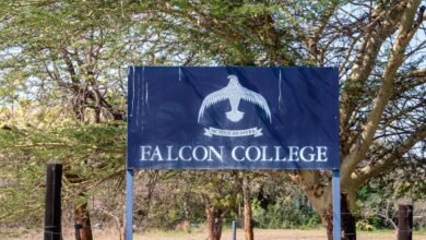 Falcon college