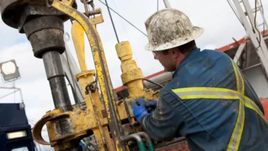 Oil