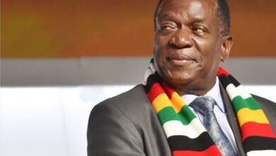 ED Mnangagwa
