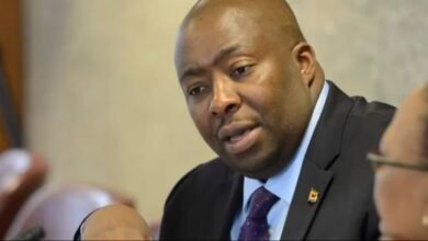 Saviour Kasukuwere