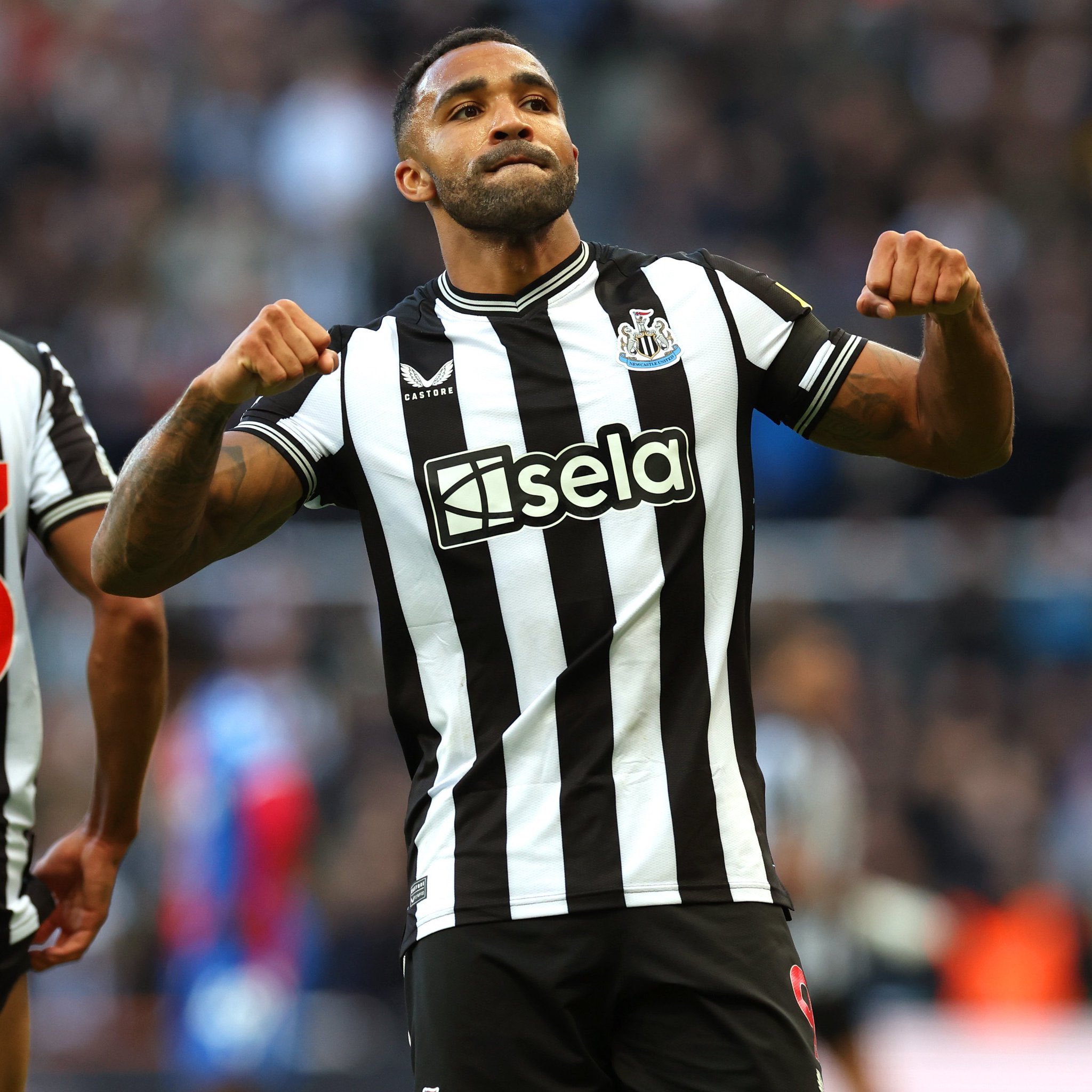 Newcastle United 4 - 0 Crystal Palace