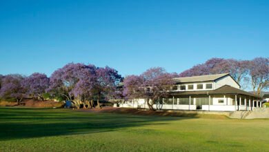 Falcon College