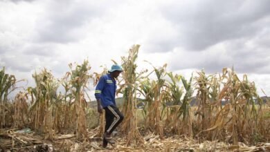 El Nino-induced drought