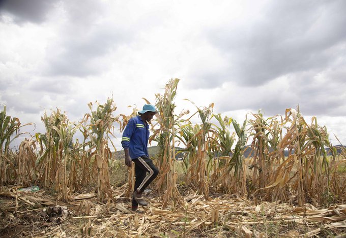 El Nino-induced drought