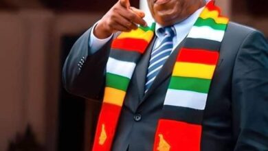 President Emmerson Mnangagwa