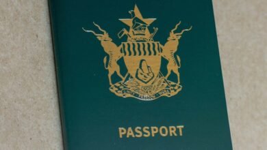 Zim passports