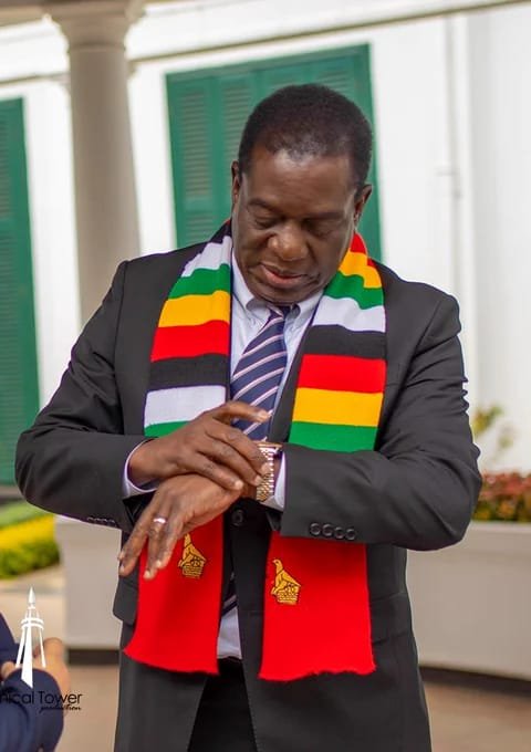 Presdent Mnangagwa