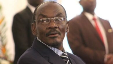 Vice President Kembo Mohadi
