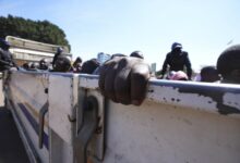sjambok in Harare police ZRP