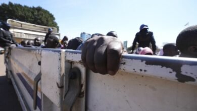 sjambok in Harare police ZRP