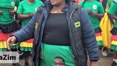 ZANU PF Chairperson