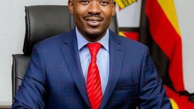 Nelson Chamisa