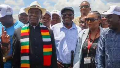 Mnangagwa, Tshabangu
