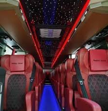 Alice Pote -Stallion Cruise