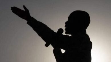 Chamisa