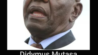 Didymus Mutasa