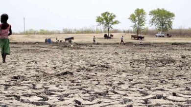Government moves to avert climate crisis in Gokwe