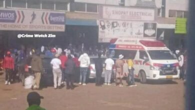 Harare pilot collapse