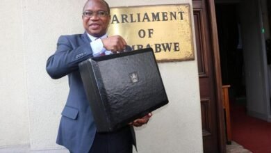 Mthuli Ncube