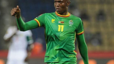 Tendai Ndoro