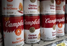 Campbell