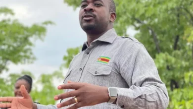 Chamisa