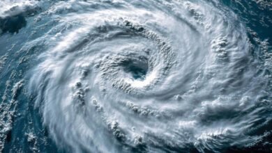 Cyclone