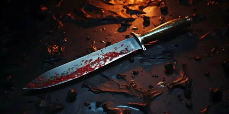 Security Guard stabs