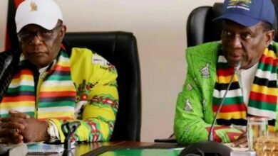 zanu pf
