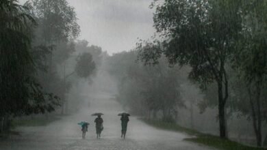 Storms Wreak Havoc Across Zimbabwe