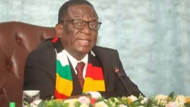 Mnangagwa Emmerson