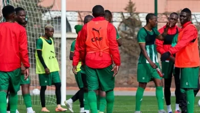 Warriors AFCON