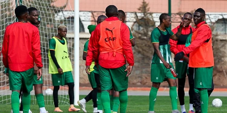Warriors AFCON